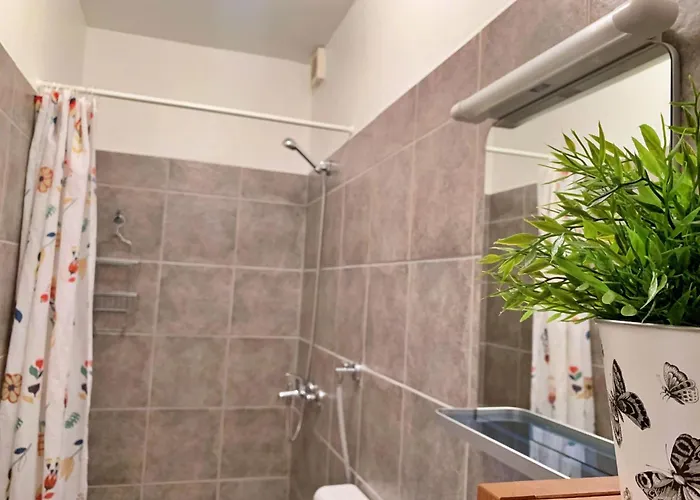 Appartement Savic By Interhome